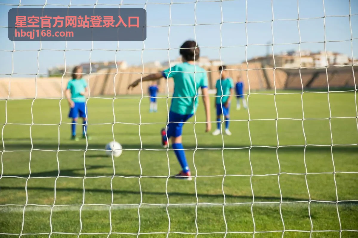 星空官方网站登录入口手机端登录通道的验证码输入界面示意