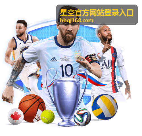 星空官方网站登录入口 登录问题排查说明配图