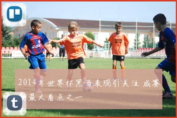2014年世界杯黑马表现引关注 成赛场最大看点之一
