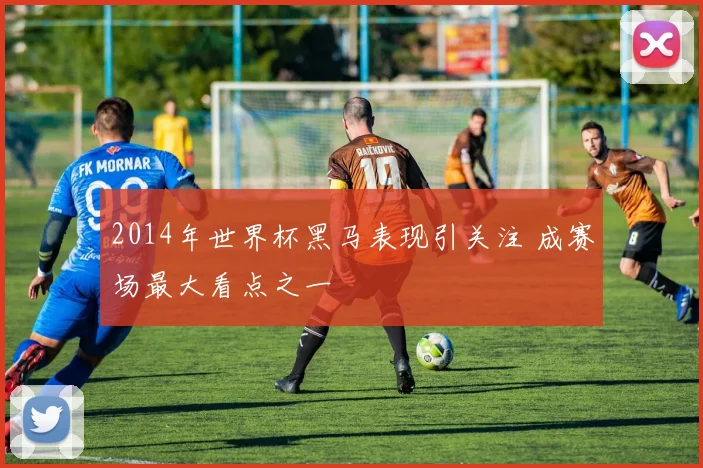 2014年世界杯黑马表现引关注 成赛场最大看点之一