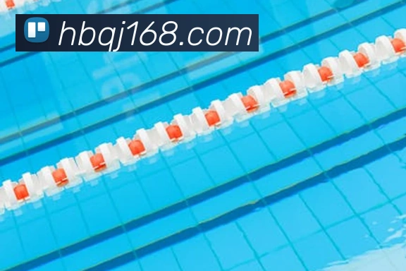 德隆威廉姆斯转战拳击赛场 展现对抗能力引发关注